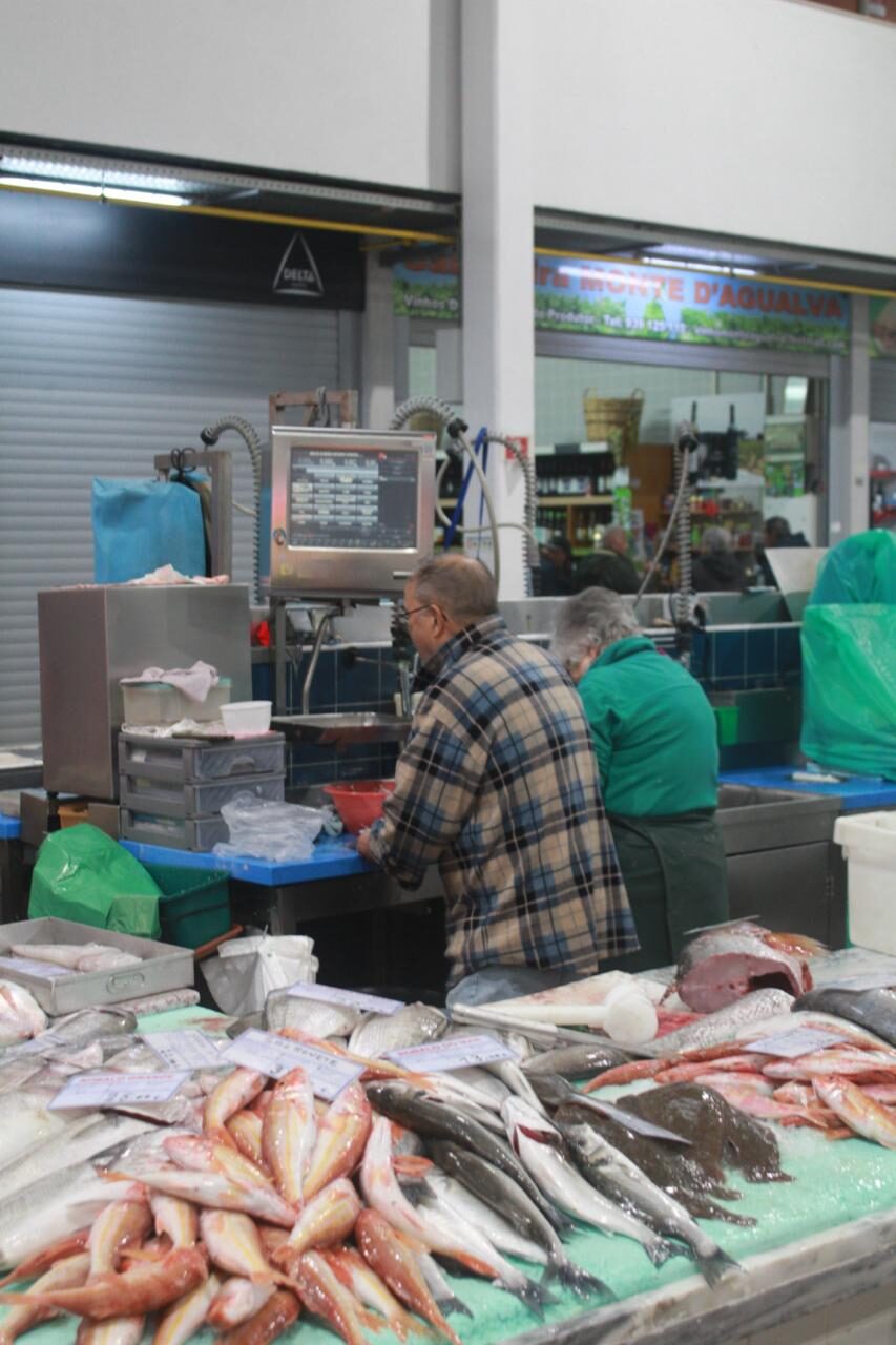 Banca do Zé Banca do Zé