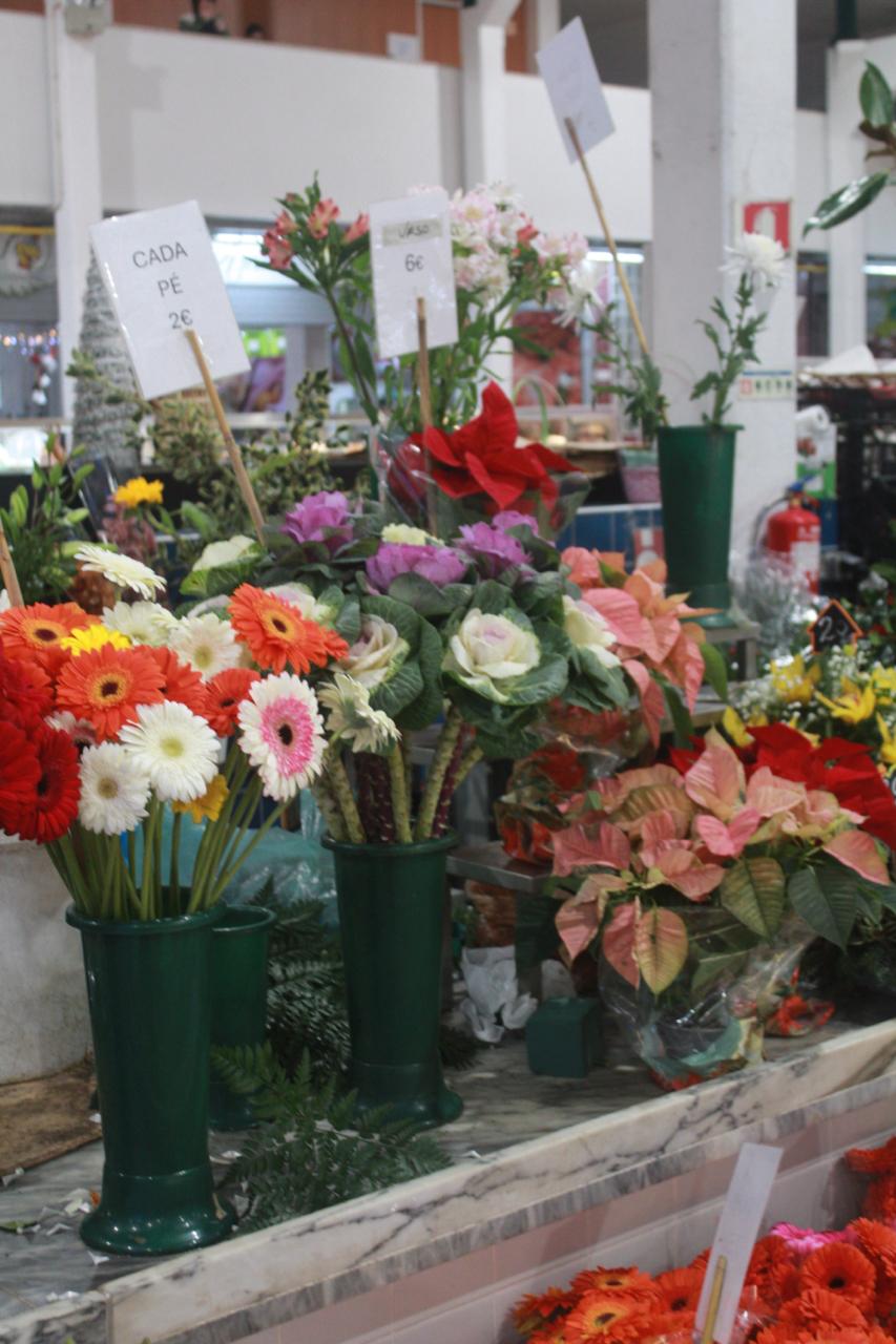 Flores Charmosas Flores Charmosas