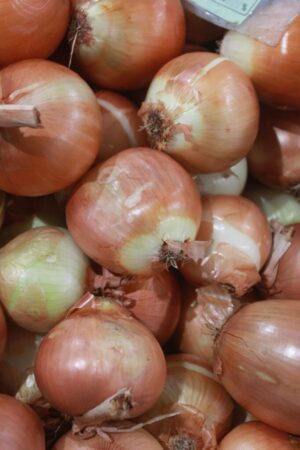 WhatsApp Image 2026-01-04 at 20.54.28